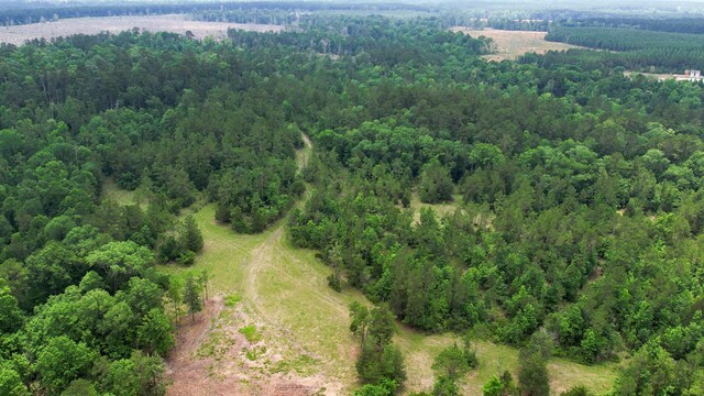 TBD Ben Nelson Rd, Livingston, TX 77351 - photo 7