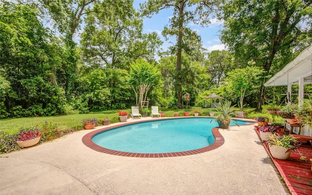 16814 Creeksouth Rd, Houston, TX 77068 - outdoor pool with a patio area, view of scattered trees, and a yard