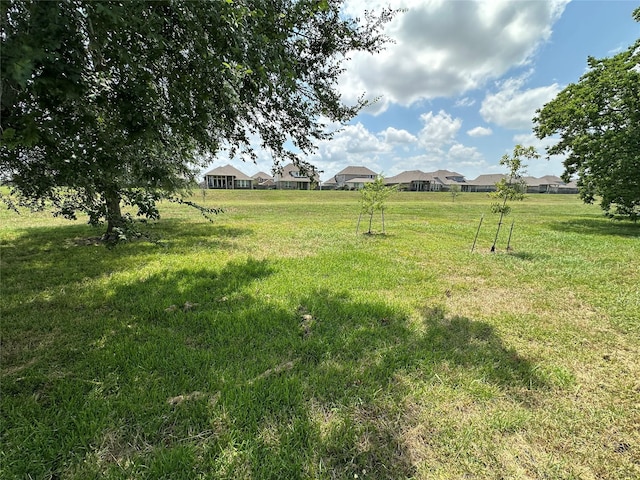9314 Wheatfield Ln, Rosenberg, TX 77469 - view of green lawn featuring a residential view