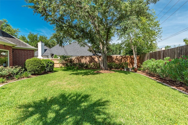 5706 Amber Queen Ct, Houston, TX 77041 - view of yard
