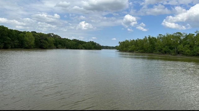 LOT11 Charleston St, Trinity, TX 75862