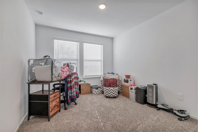 15007 Ashton Meadows Dr, New Caney, TX 77357 - playroom with carpet flooring