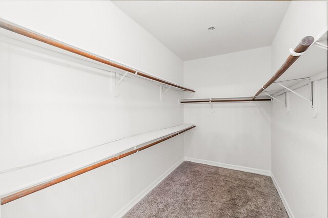 19311 Twin Buttes Dr, Tomball, TX 77375 - photo 28