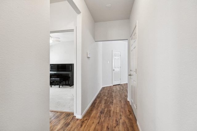 19119 Mossy Hedge Ln, Katy, TX 77449 - hallway with wood finished floors and baseboards