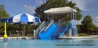 1902 Rosebay Ct, Sugar Land, TX 77479 - view of swimming pool