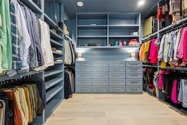 1913 Ebony Ln, Houston, TX 77018 - spacious closet with light wood finished floors