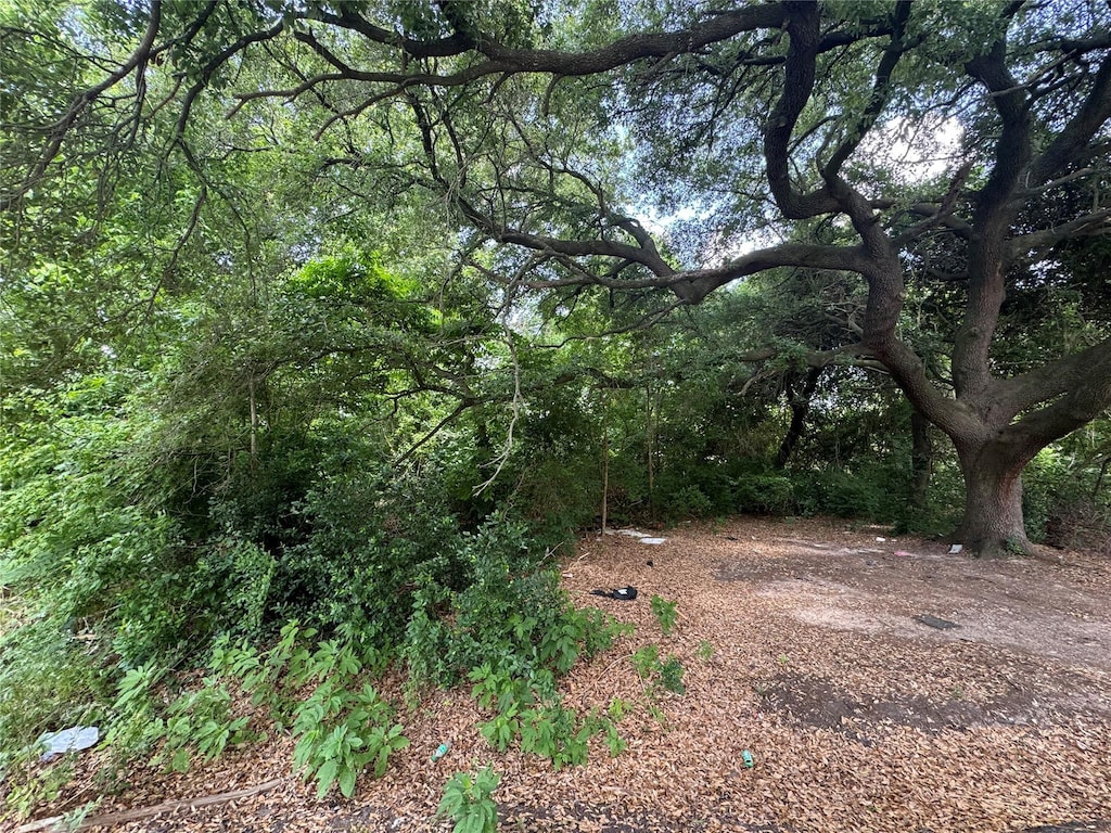 6636 Arabella St, Houston, TX 77091