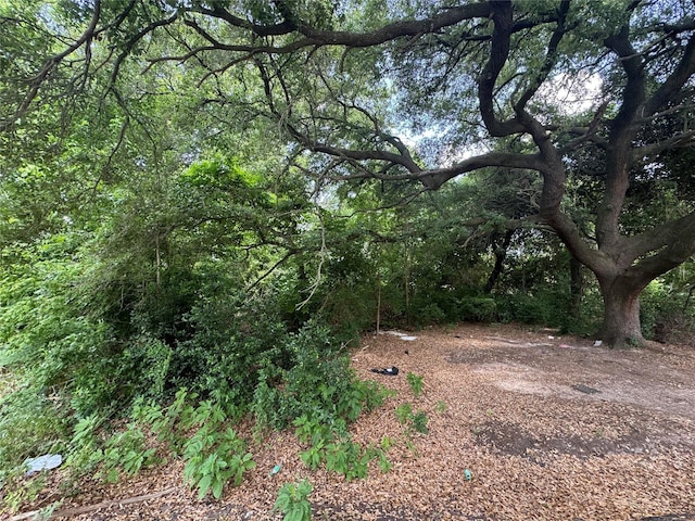 6636 Arabella St, Houston, TX 77091