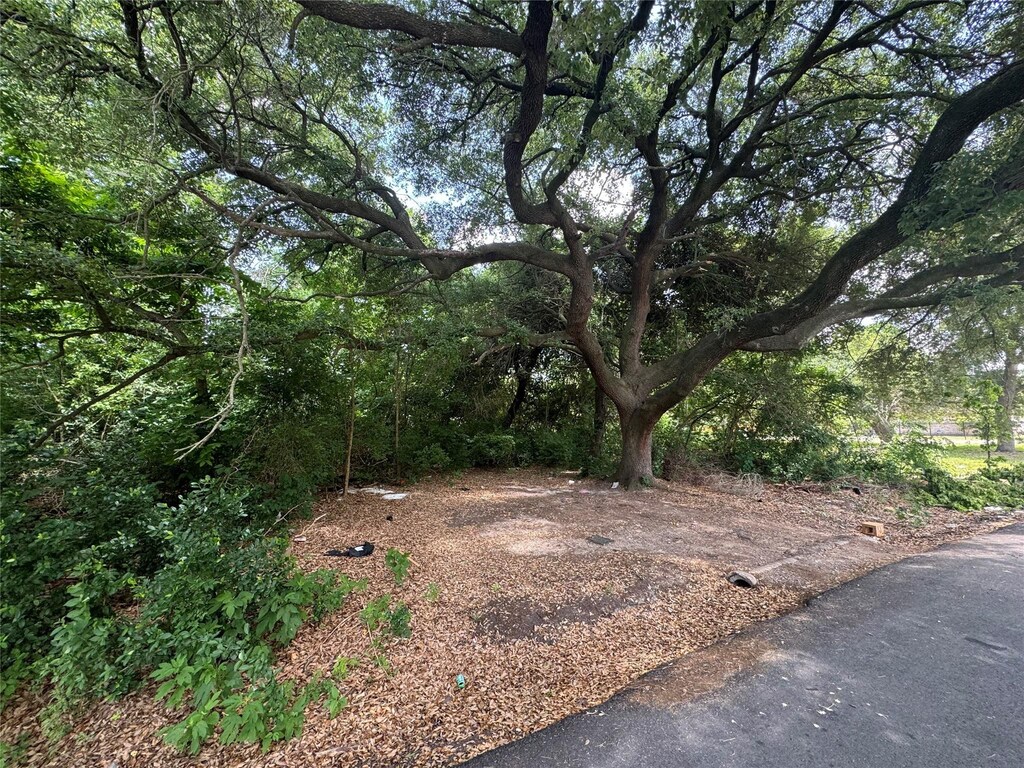 6636 Arabella St, Houston, TX 77091