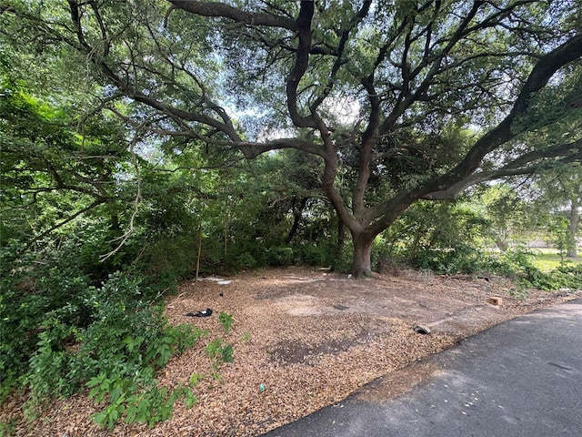 6636 Arabella St, Houston, TX 77091