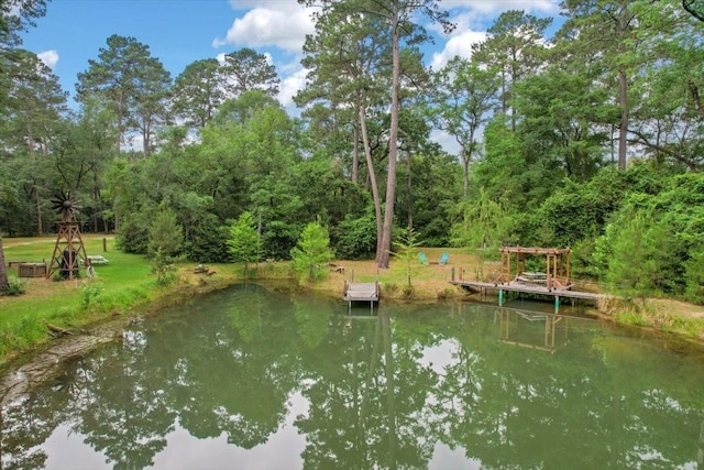 15901 Butera Rd, Magnolia, TX 77355