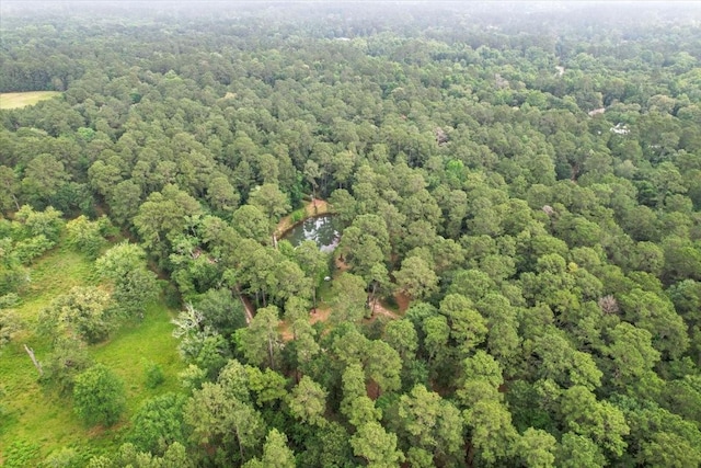 15901 Butera Rd, Magnolia, TX 77355