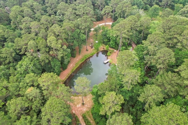 15901 Butera Rd, Magnolia, TX 77355