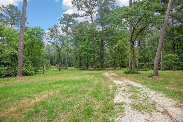 15901 Butera Rd, Magnolia, TX 77355