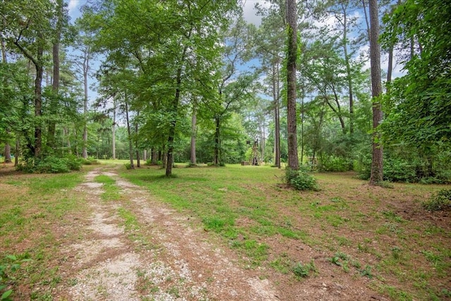 15901 Butera Rd, Magnolia, TX 77355
