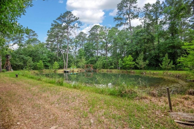 15901 Butera Rd, Magnolia, TX 77355