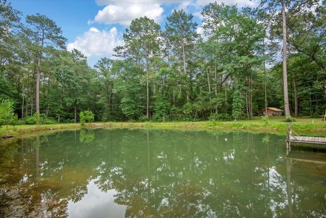 15901 Butera Rd, Magnolia, TX 77355