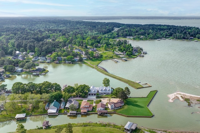 321 Marina Dr, Coldspring, TX 77331 - aerial perspective of suburban area featuring a forest and a large body of water
