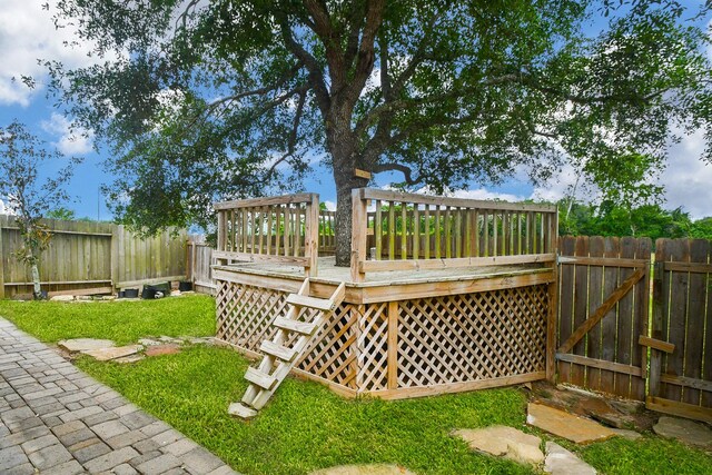 5207 Belvedere Dr, Rosenberg, TX 77471 - photo 49