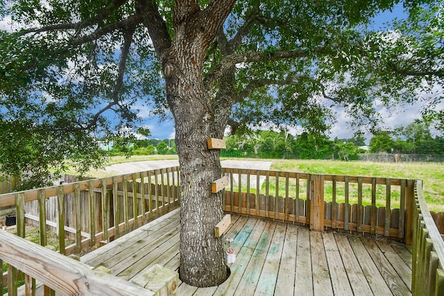 5207 Belvedere Dr, Rosenberg, TX 77471 - photo 50