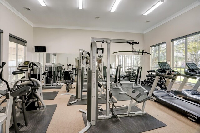 2617 Edgefield Lakes Dr, Houston, TX 77054 - gym with ornamental molding