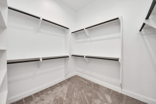 21111 Flowerhorn Dr, Cypress, TX 77433 - walk in closet with carpet flooring