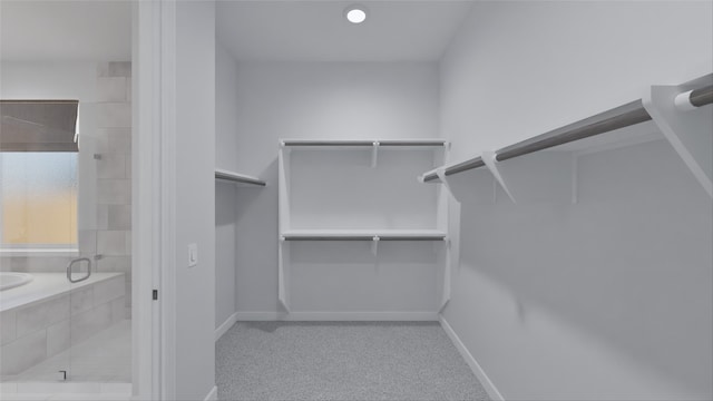 21119 Flowerhorn Dr, Cypress, TX 77433 - view of walk in closet