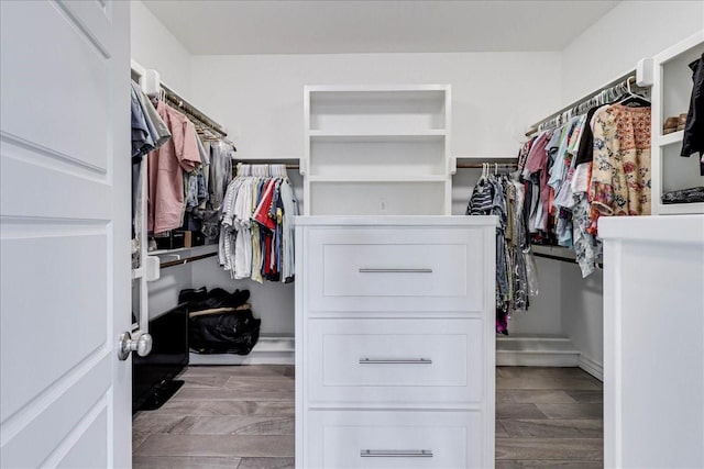 8105 Denali Dr, Corpus Christi, TX 78414 - view of spacious closet