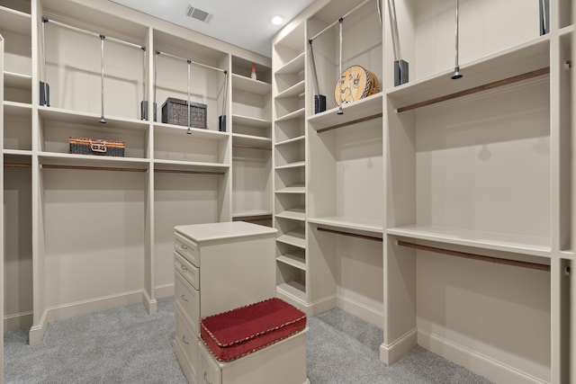 16 Grand Mnr, Sugar Land, TX 77479 - walk in closet featuring light carpet