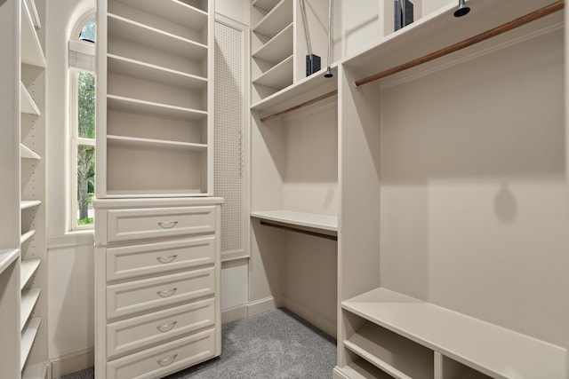 16 Grand Mnr, Sugar Land, TX 77479 - walk in closet featuring carpet flooring