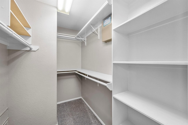 8014 Blackcherry Ln, Baytown, TX 77523 - walk in closet with carpet