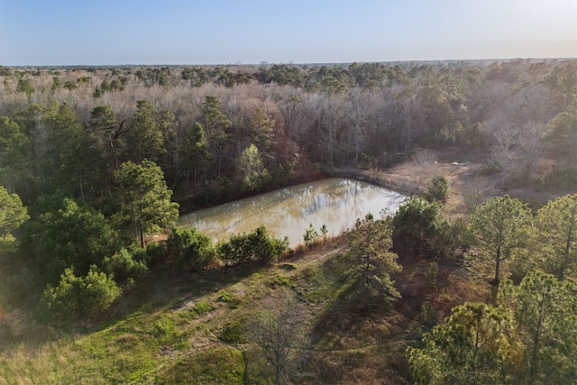 2394 Crockett Martin Rd, Conroe, TX 77306