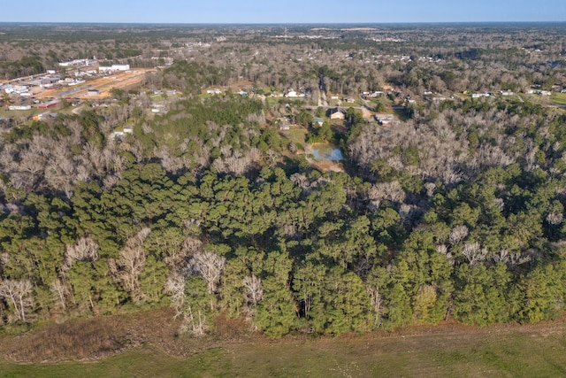 2394 Crockett Martin Rd, Conroe, TX 77306