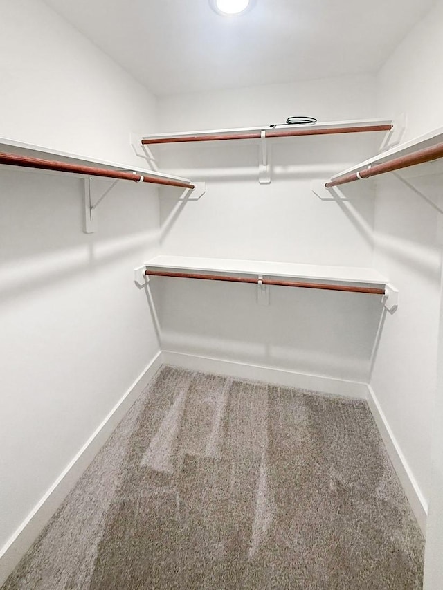 17422 Typhoon Way, Crosby, TX 77532 - spacious closet with carpet flooring