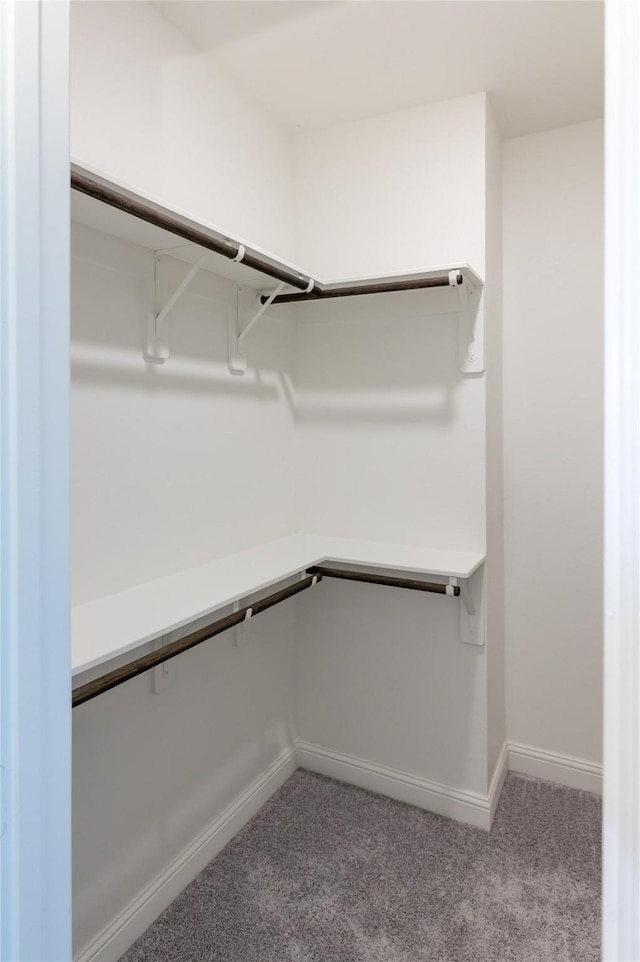 8408 Oak Leaf Point Dr, Houston, TX 77055 - spacious closet featuring carpet floors