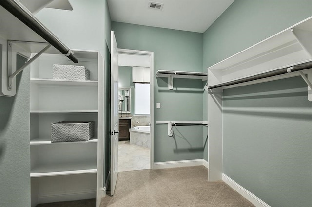 29506 Highland Manor Ct, Katy, TX 77494 - walk in closet with carpet floors