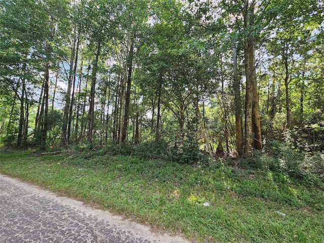 185 Sessums Rd, Silsbee, TX 77656