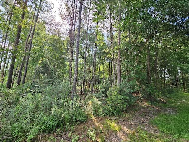 185 Sessums Rd, Silsbee, TX 77656
