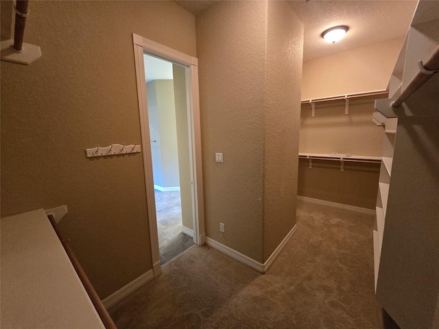 1008 Heritage Oaks Dr, Angleton, TX 77515 - spacious closet featuring carpet flooring