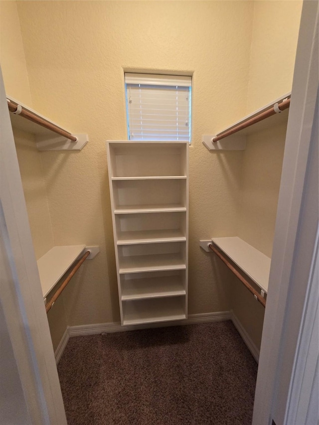 1008 Heritage Oaks Dr, Angleton, TX 77515 - walk in closet featuring carpet