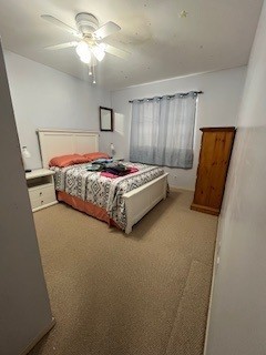5363 Marian St, Katy, TX 77493 - bedroom with carpet and a ceiling fan
