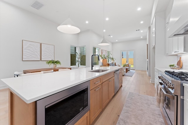 432 W 24th St, Houston, TX 77008 - kitchen featuring stainless steel appliances, a sink, custom exhaust hood, light wood-style floors, and recessed lighting
