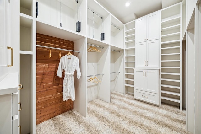 10250 Clubhouse Cir, Magnolia, TX 77354 - spacious closet featuring light colored carpet