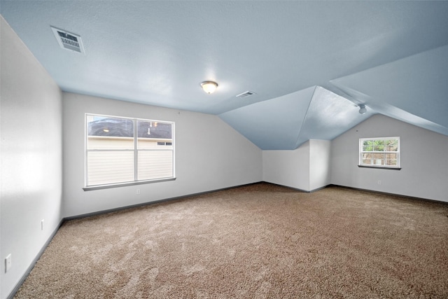 13909 Stonewood Ct, Rosharon, TX 77583 - additional living space with carpet, vaulted ceiling, and baseboards
