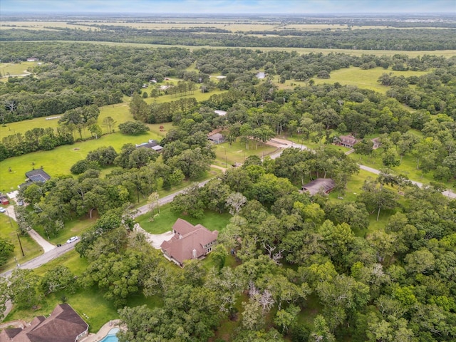 13327 W Brazos Bend Dr, Needville, TX 77461 - photo 41