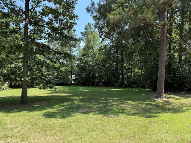 230 Hideout Cir, Livingston, TX 77351