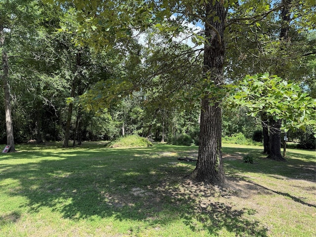 230 Hideout Cir, Livingston, TX 77351