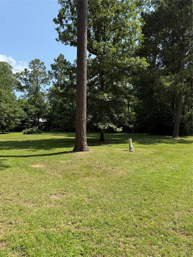 230 Hideout Cir, Livingston, TX 77351