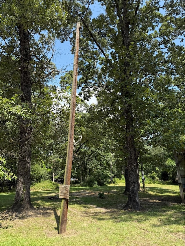 230 Hideout Cir, Livingston, TX 77351