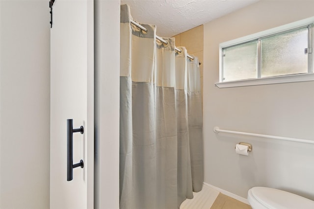 10119 Peachridge Dr, Houston, TX 77070 - full bath with toilet, curtained shower, a textured ceiling, and baseboards